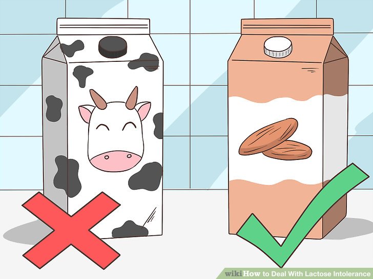 شیر غیر لبنی ، شیر گیاهی