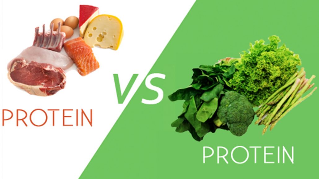 پروتئین در رژیم وگان، پروتئین گیاهی ، پروتئین حیوانی